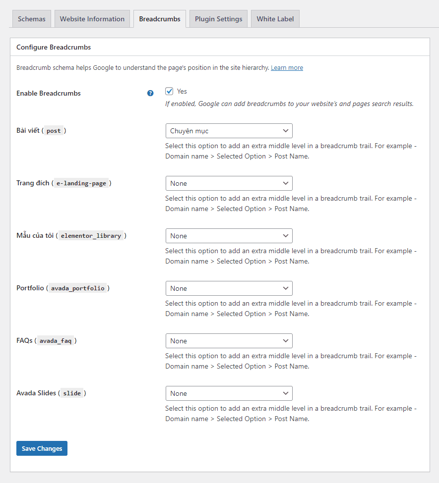 tùy chỉnh đường dẫn theo ý thích schema
